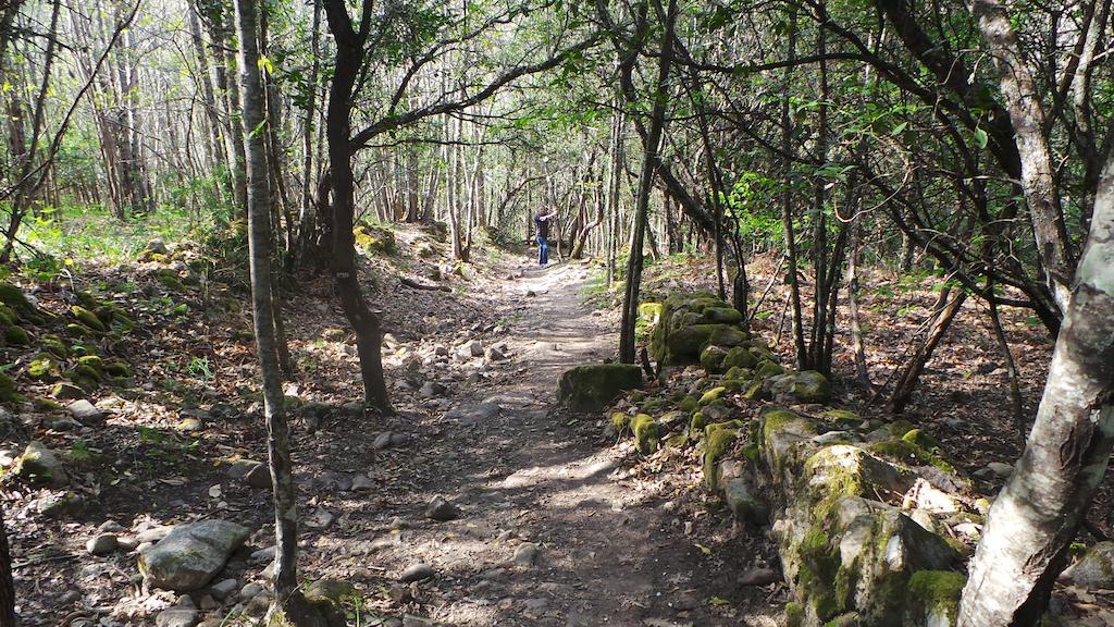 Apartamentos El Capricho Águeda del Caudillo Esterno foto